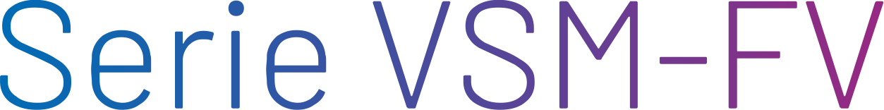 Serie VSM-FV